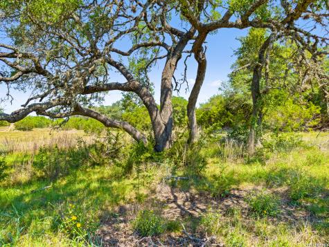 163 N Stallion Estates Drive Spring Branch TX 78070