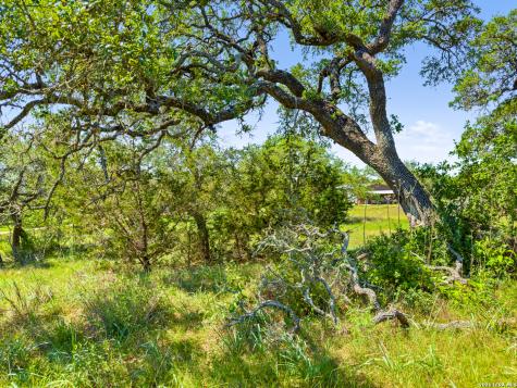 163 N Stallion Estates Drive Spring Branch TX 78070