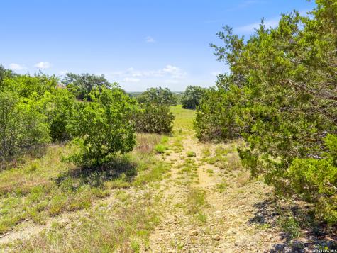 163 N Stallion Estates Drive Spring Branch TX 78070