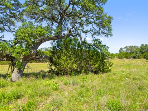 163 N Stallion Estates Drive Spring Branch TX 78070