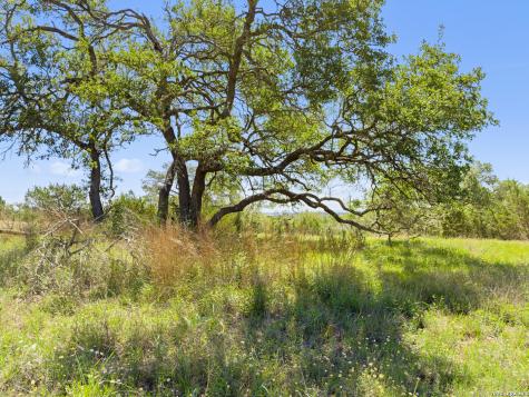 163 N Stallion Estates Drive Spring Branch TX 78070