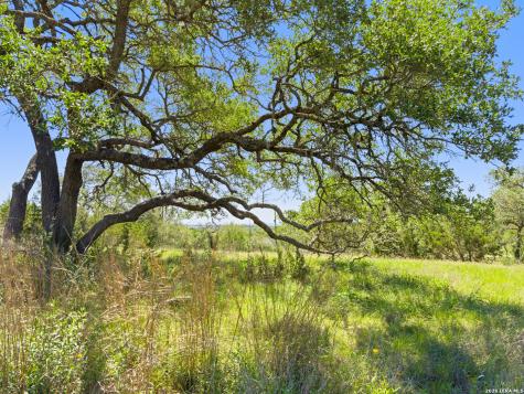 163 N Stallion Estates Drive Spring Branch TX 78070
