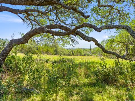 163 N Stallion Estates Drive Spring Branch TX 78070