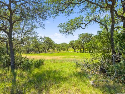 163 N Stallion Estates Drive Spring Branch TX 78070