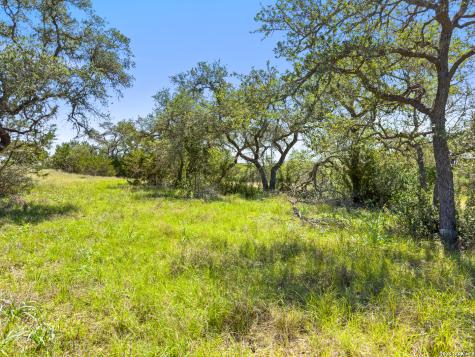 163 N Stallion Estates Drive Spring Branch TX 78070