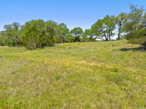 163 N Stallion Estates Drive Spring Branch TX 78070