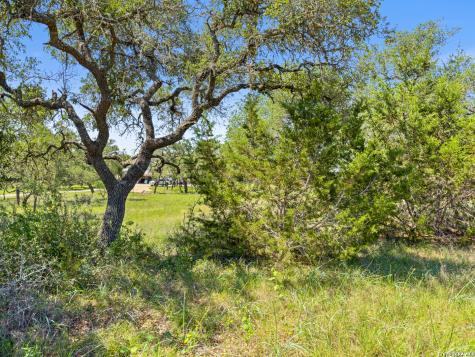 163 N Stallion Estates Drive Spring Branch TX 78070