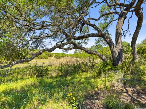 163 N Stallion Estates Drive Spring Branch TX 78070