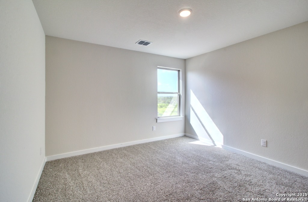 11164 Gaillardia Valley Converse TX 78109