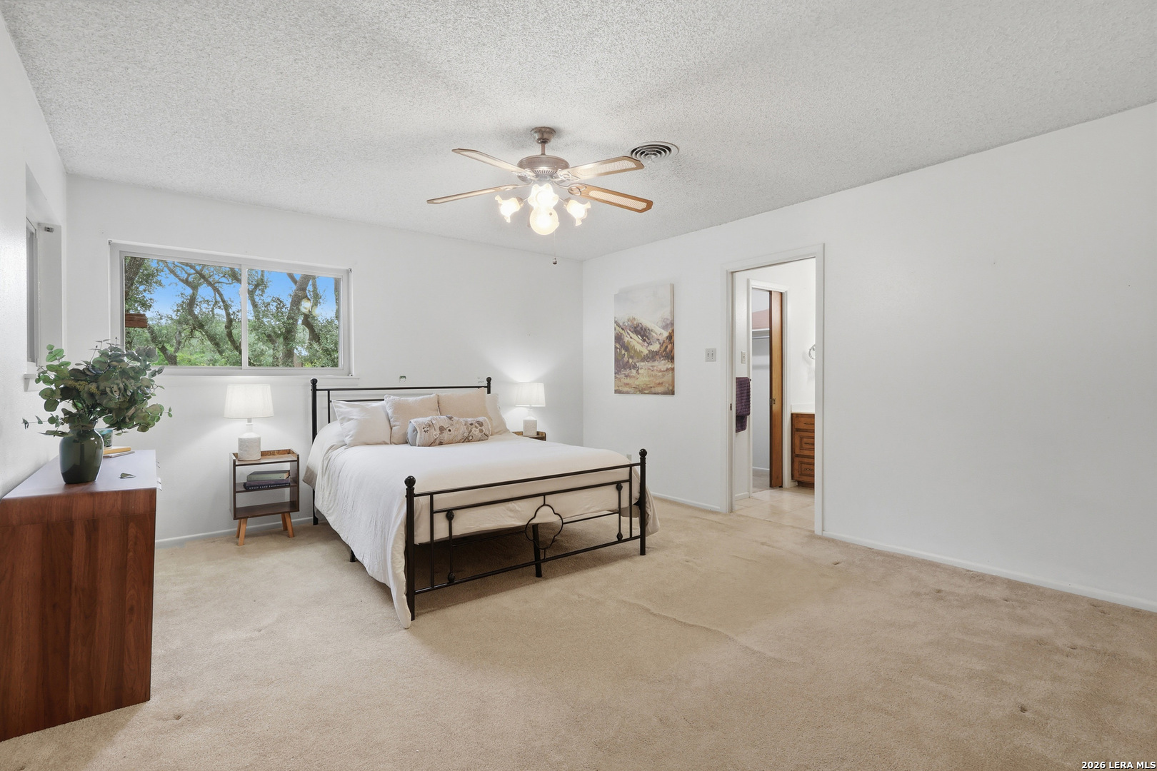 30592 Oakview Road Bulverde TX 78163