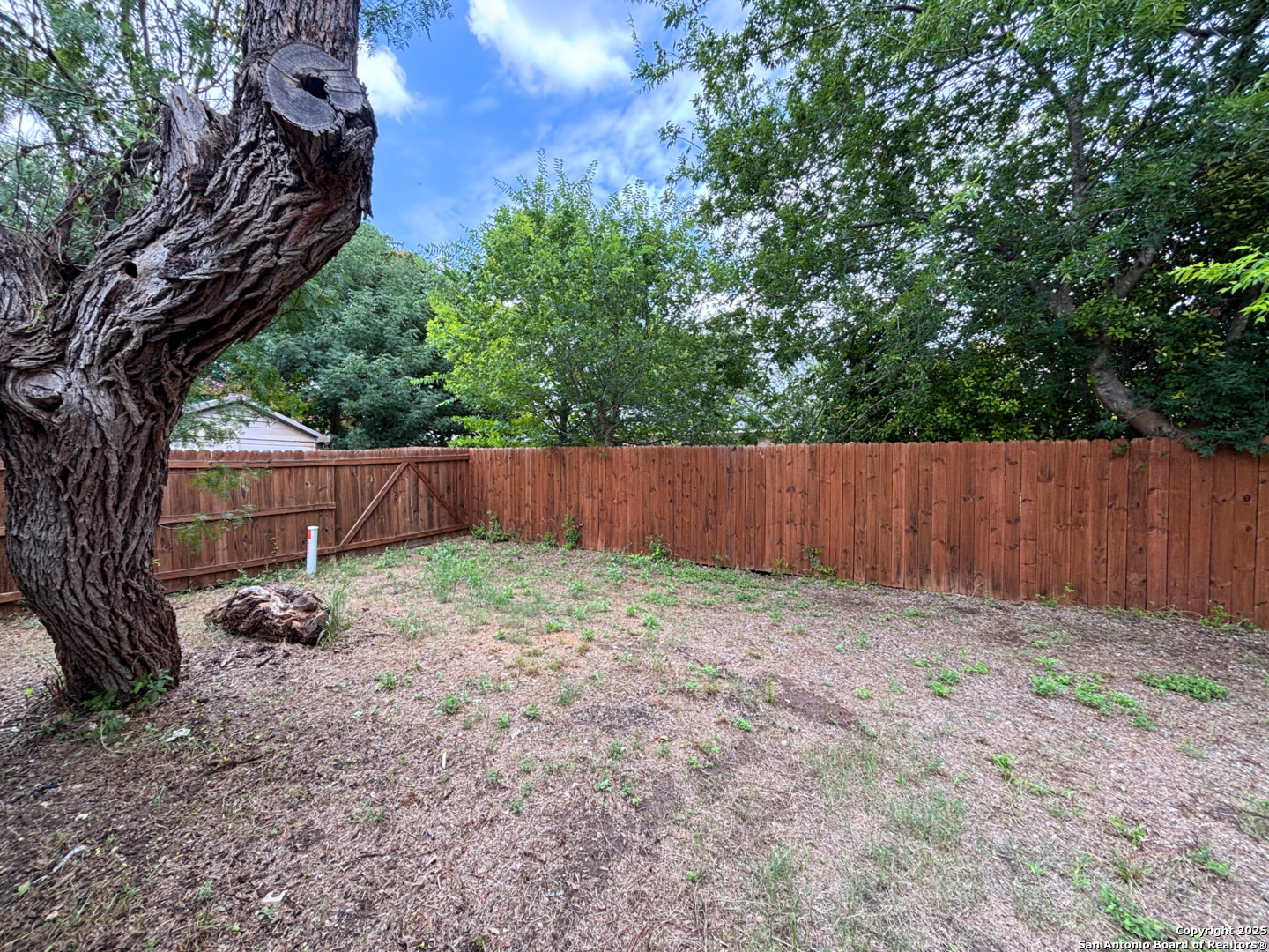 13218 Regency Forest San Antonio TX 78249