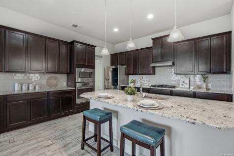 21918 Big Bend Canyon San Antonio TX 78258