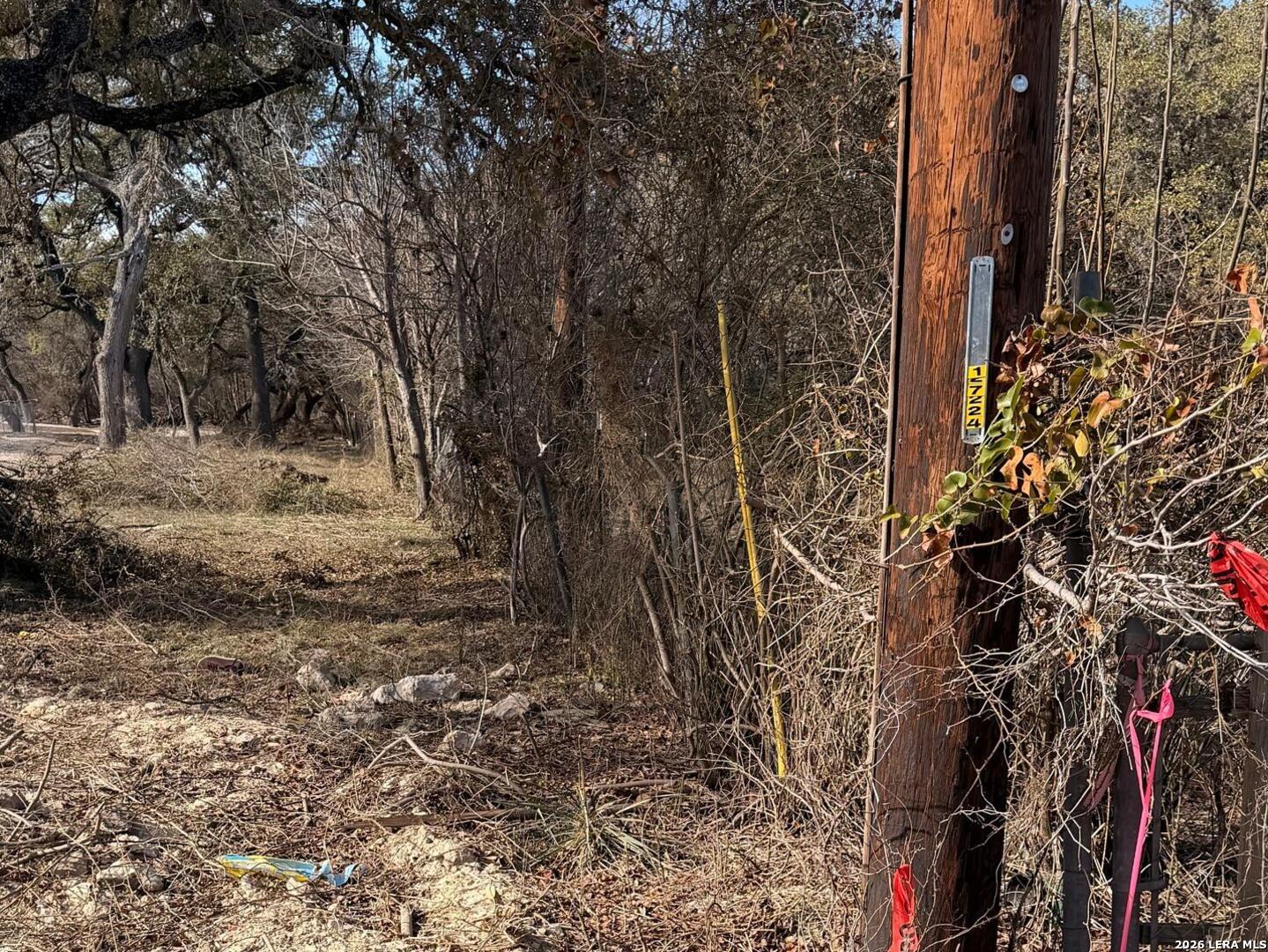 6463 Hollyhock San Antonio TX 78240