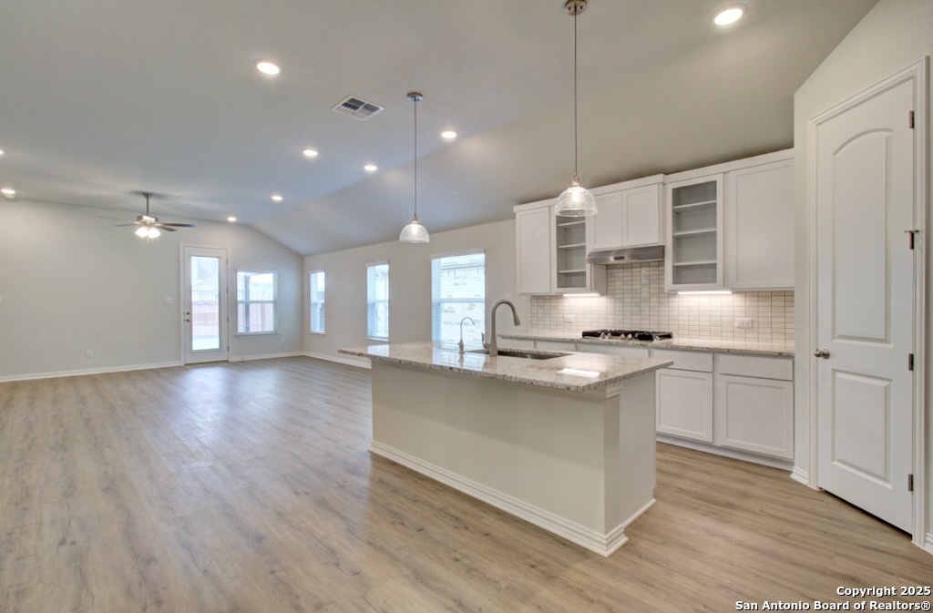11135 Fruit Dove Trail San Antonio TX 78249