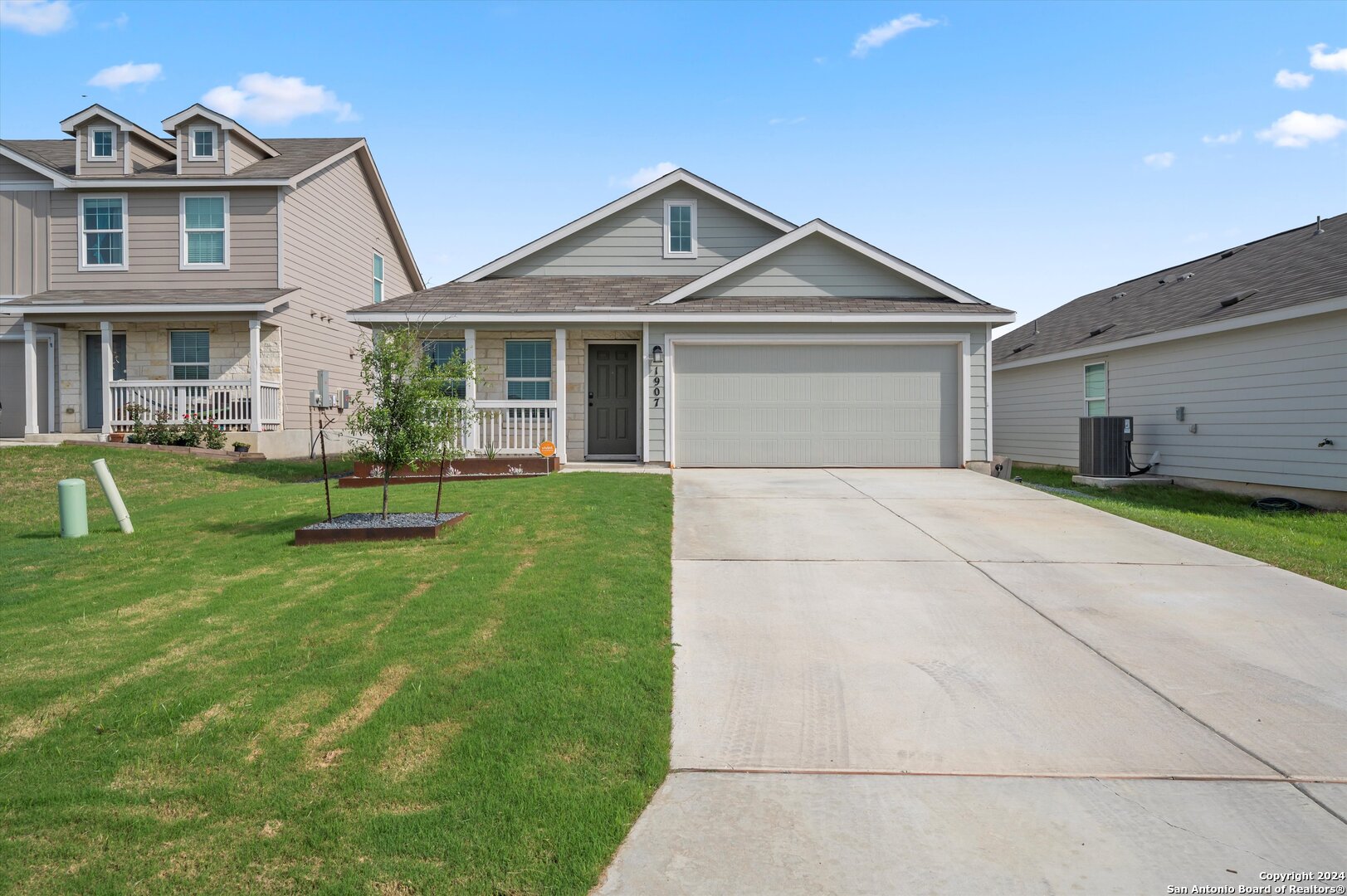 1907 Grey Catbird New Braunfels TX 78130