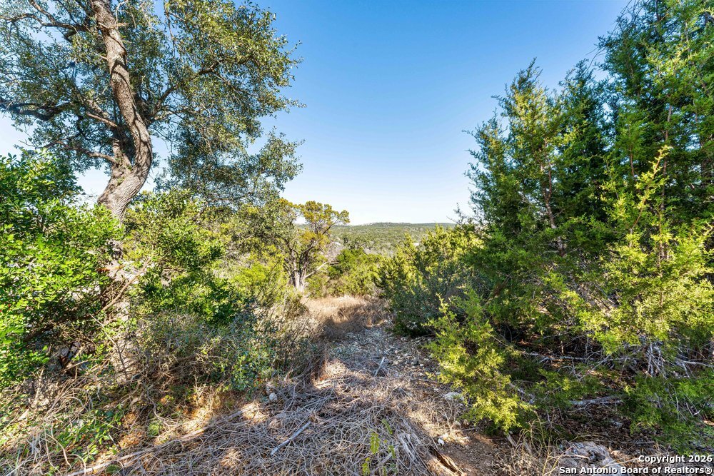 19318 Terra Brook San Antonio TX 78255