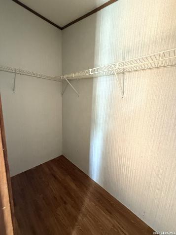 22819 Grand Spring Elmendorf TX 78112
