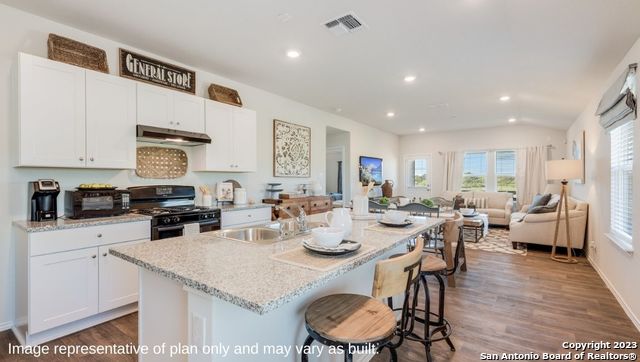 202 Pigeon Green San Antonio TX 78253