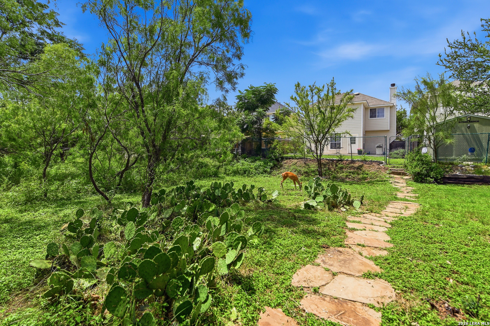 1026 Windmill Palm San Antonio TX 78216