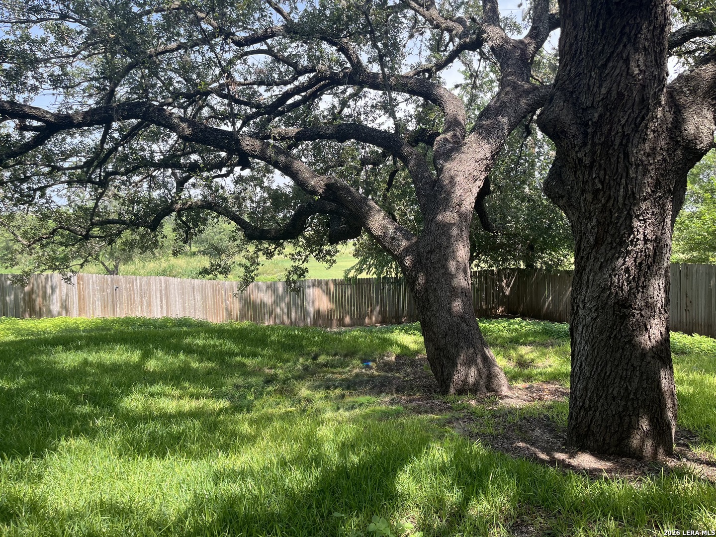 8342 Wickersham Street San Antonio TX 78254