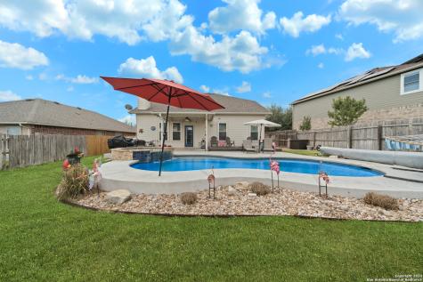 1251 Sandhill Crane New Braunfels TX 78130