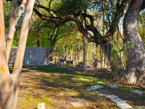 14022 Tree Crossing San Antonio TX 78247