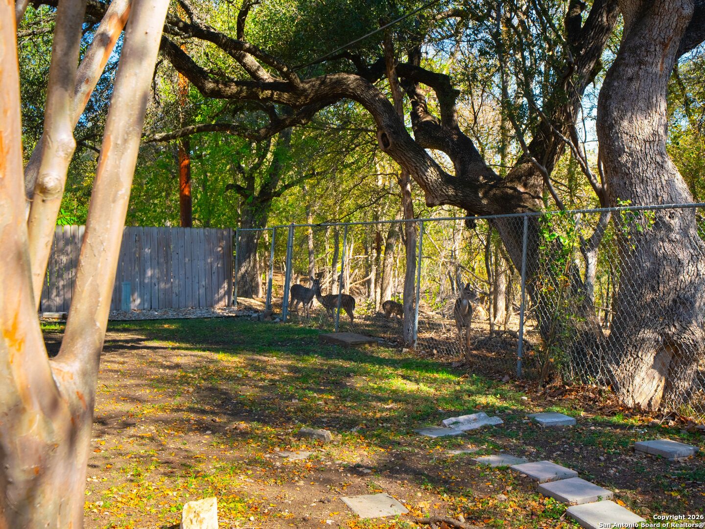 14022 Tree Crossing San Antonio TX 78247