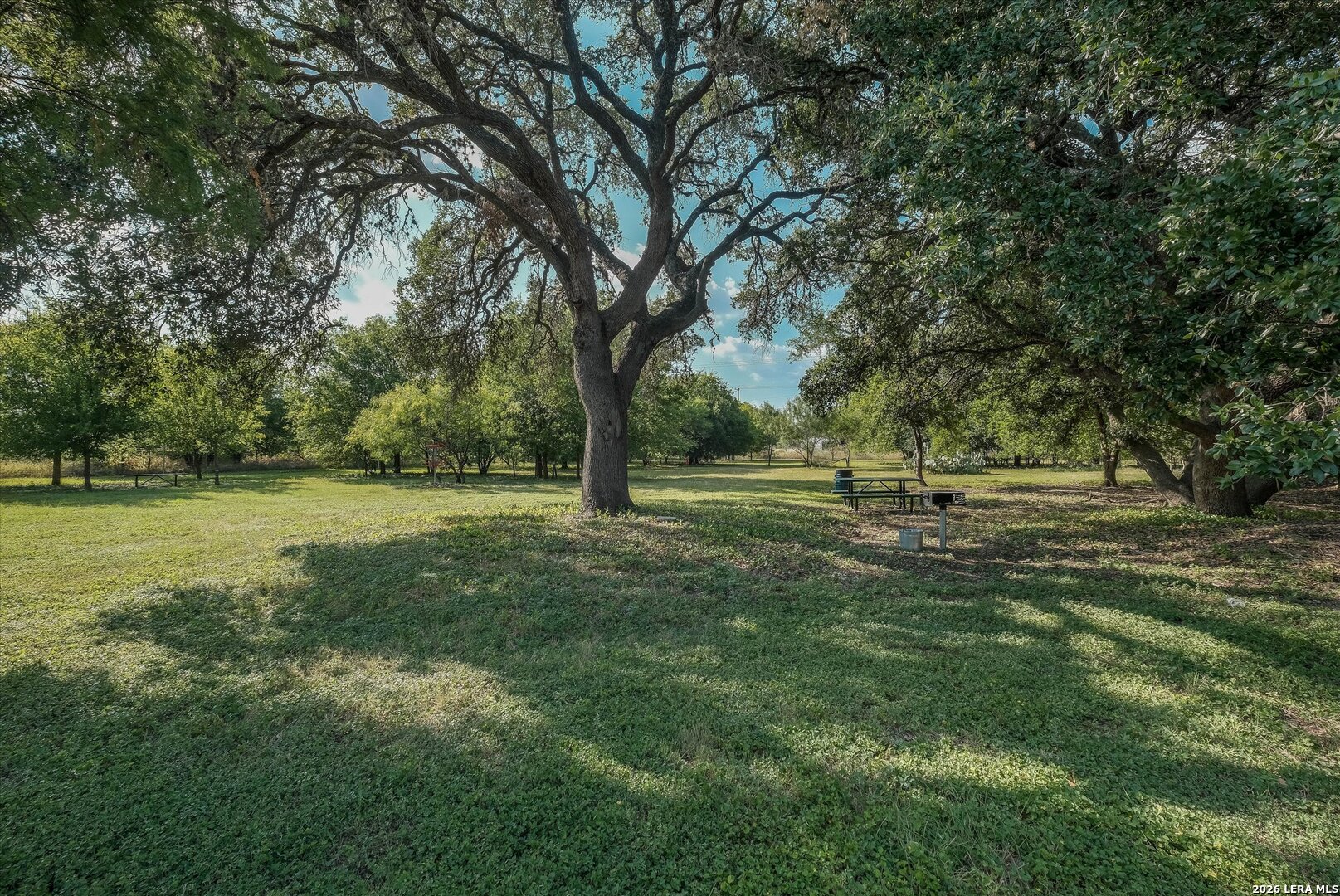 802 Celosia San Antonio TX 78245