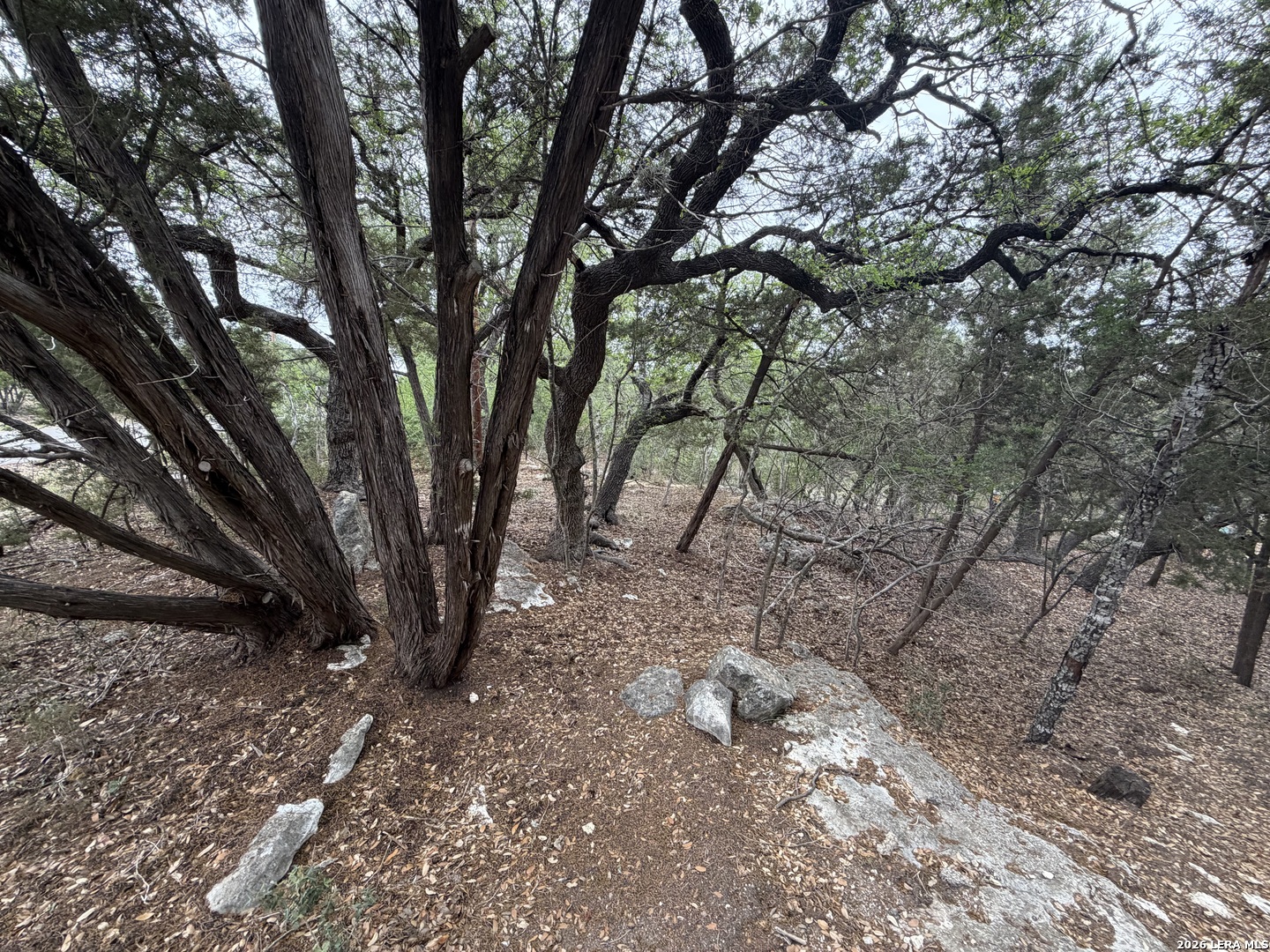1331 Hammermill Canyon Lake TX 78133