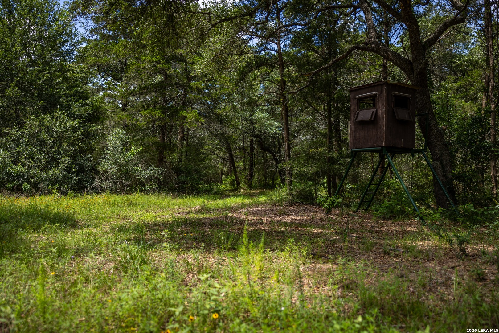 1080 Frelsburg Road Alleyton TX 78935