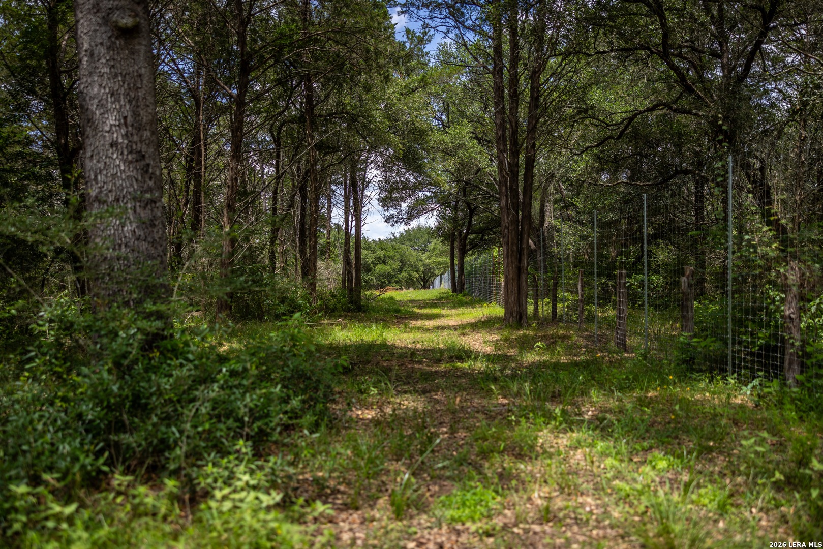 1080 Frelsburg Road Alleyton TX 78935
