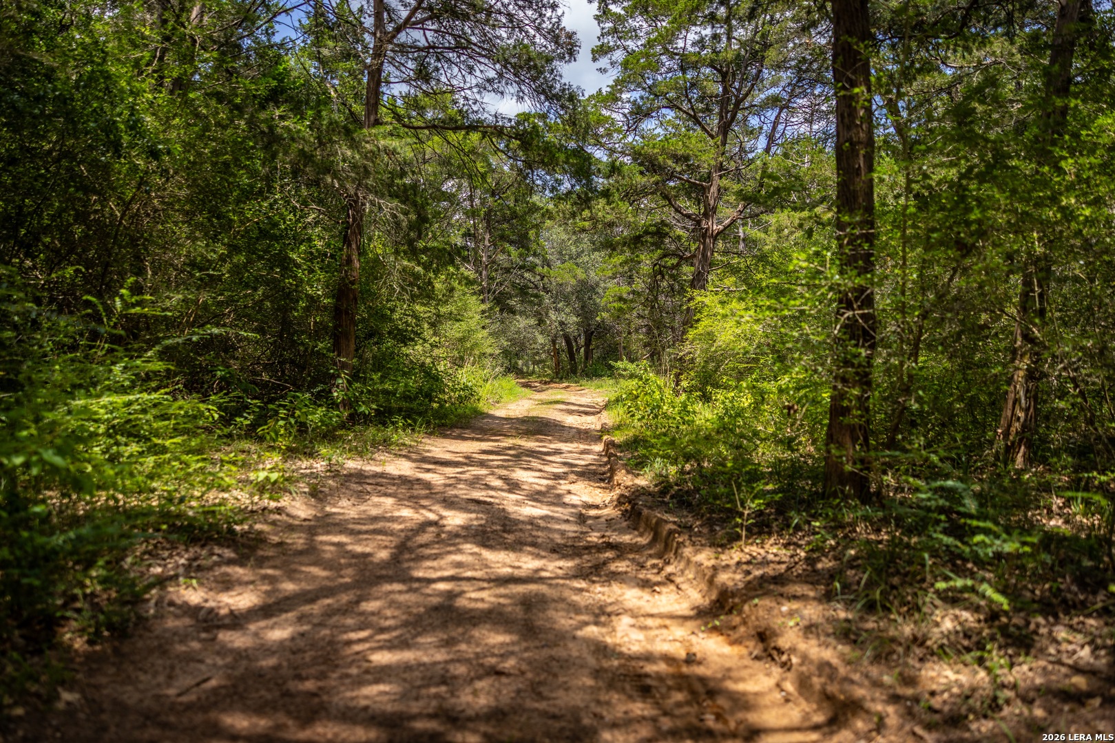1080 Frelsburg Road Alleyton TX 78935