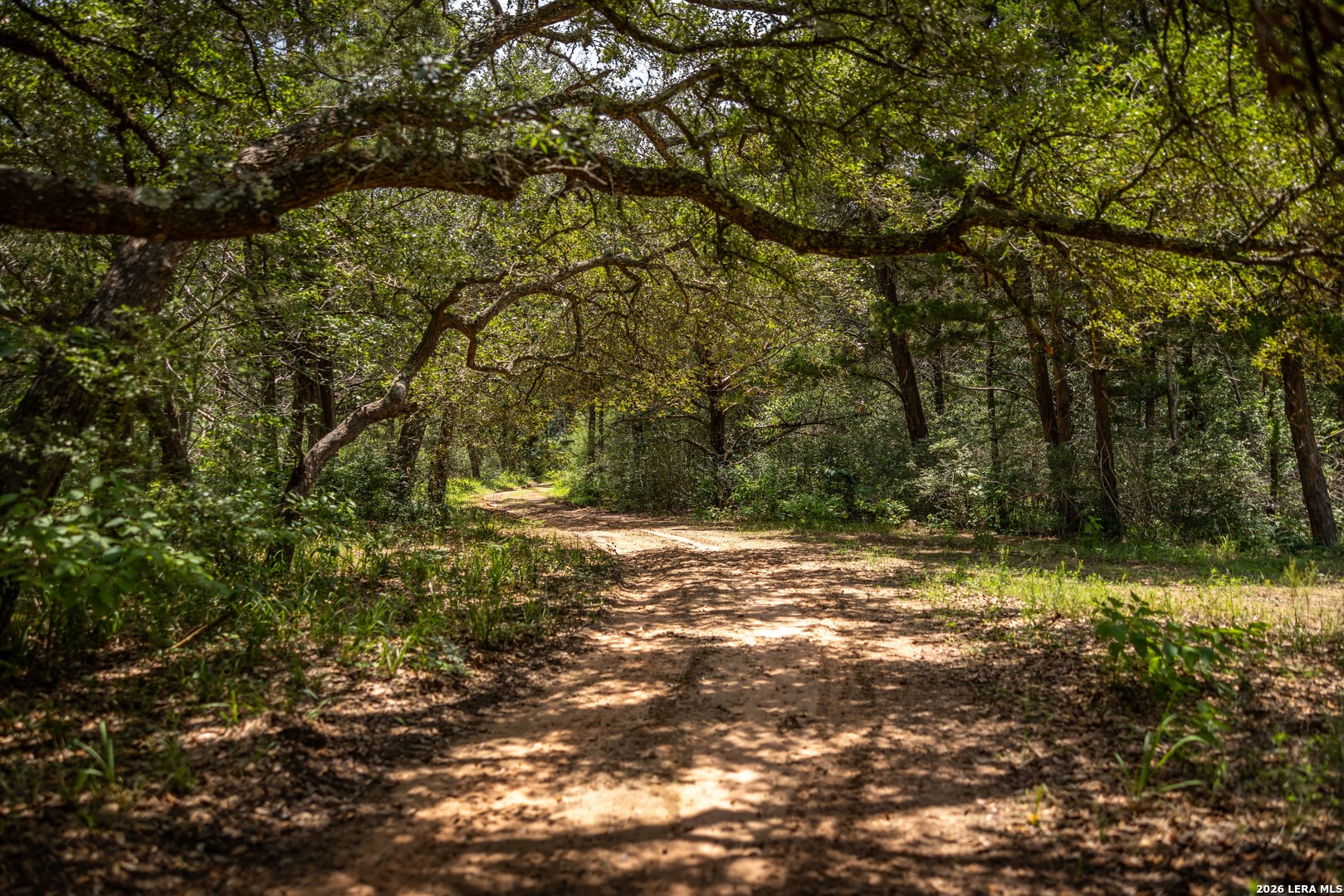 1080 Frelsburg Road Alleyton TX 78935