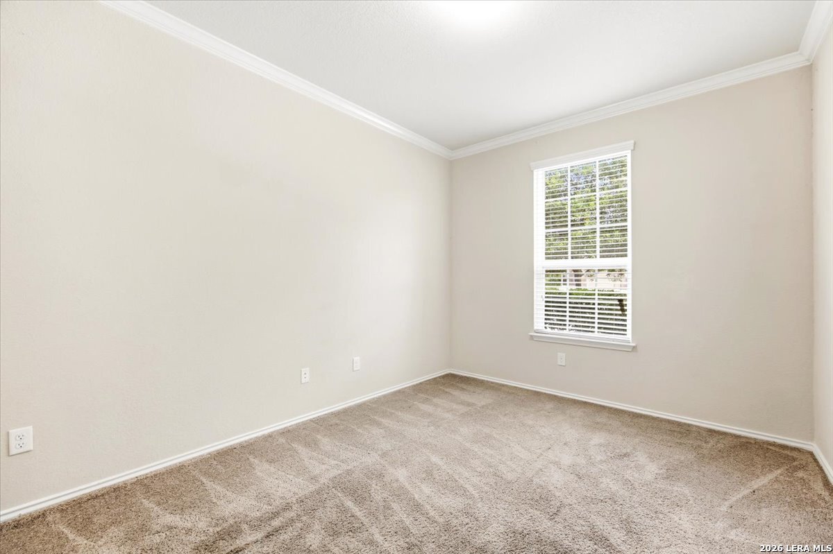11424 Unbridled San Antonio TX 78245