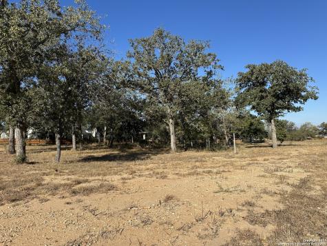 132 Chinaberry Hill La Vernia TX 78121