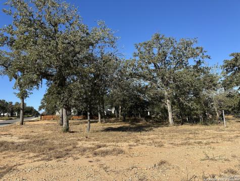 132 Chinaberry Hill La Vernia TX 78121
