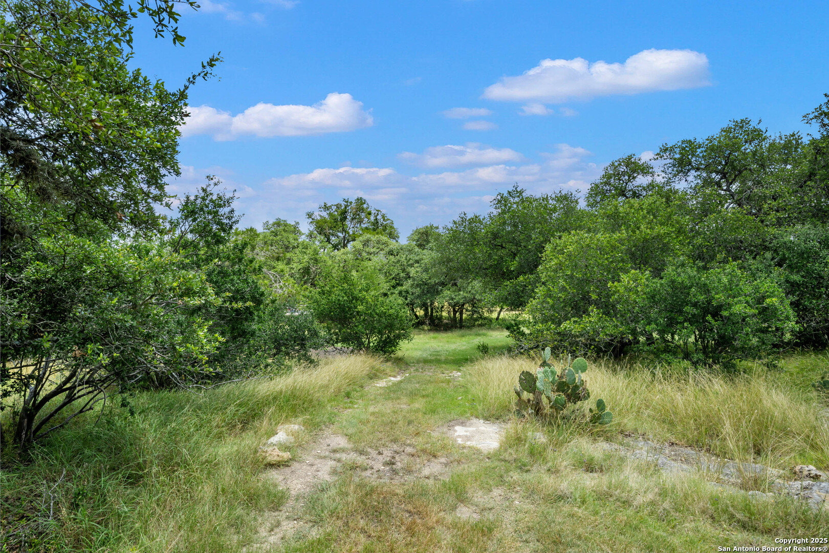 129 Park Ridge Boerne TX 78006