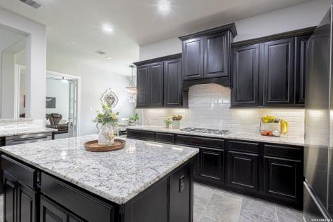 2620 Malboona Mews Drive New Braunfels TX 78132