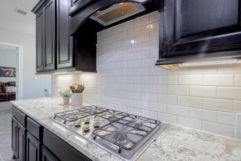 2620 Malboona Mews Drive New Braunfels TX 78132