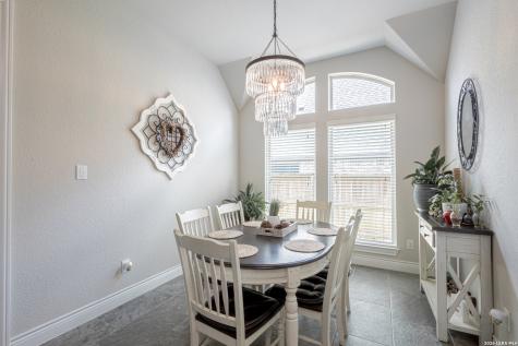 2620 Malboona Mews Drive New Braunfels TX 78132