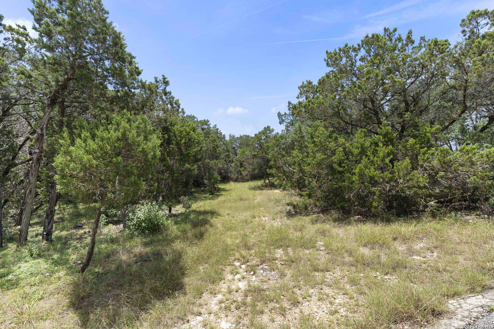 21509 Monarch Pass San Antonio TX 78255