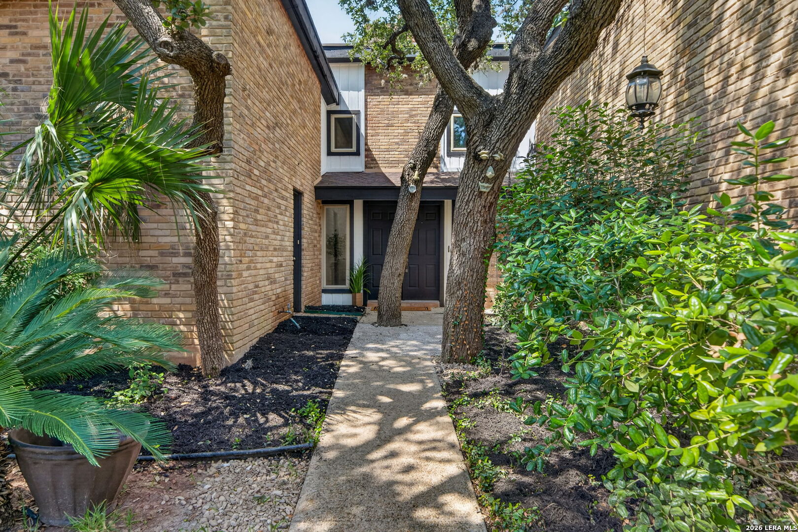 406 Wood Shadow Street San Antonio TX 78216