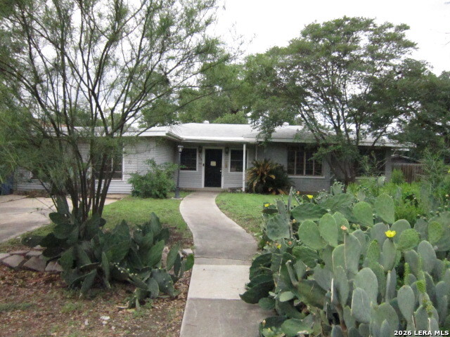 215 Oakleaf Drive San Antonio TX 78209