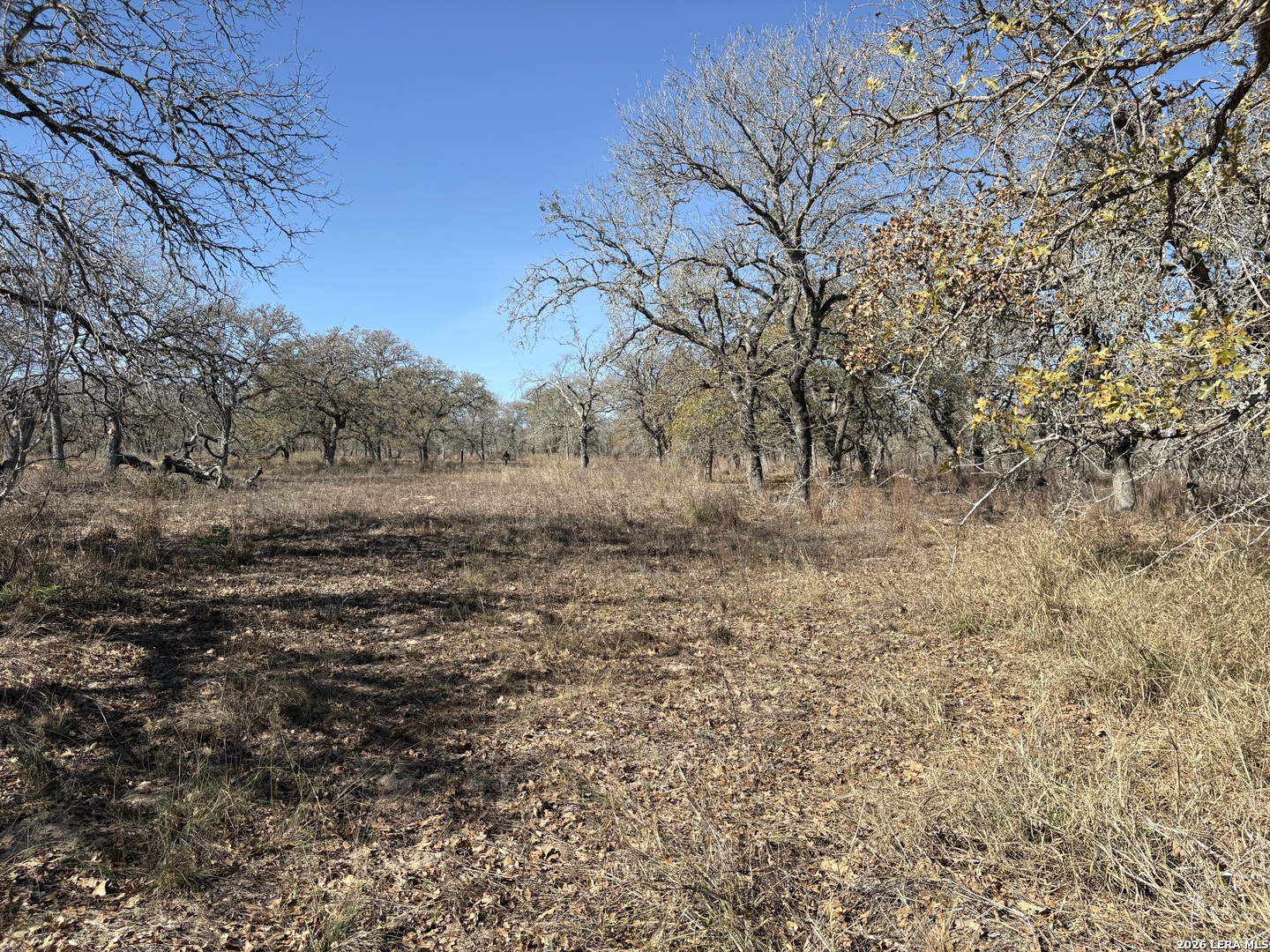 165 Littlehorn Lane La Vernia TX 78121