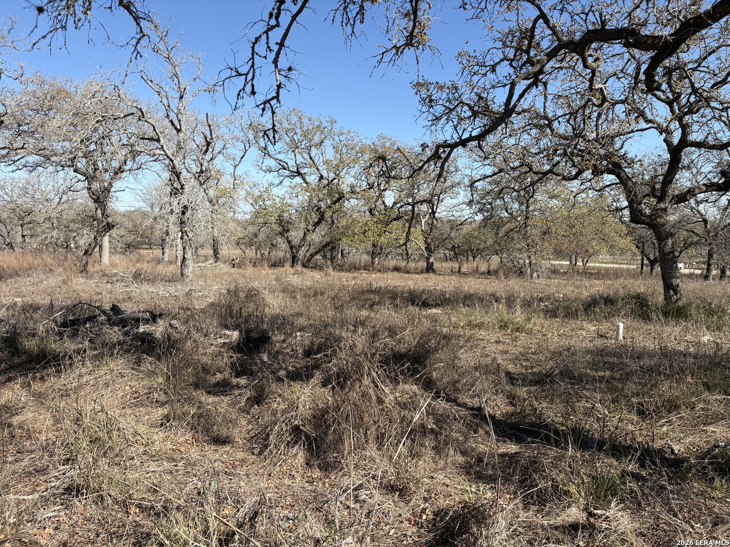 165 Littlehorn Lane La Vernia TX 78121