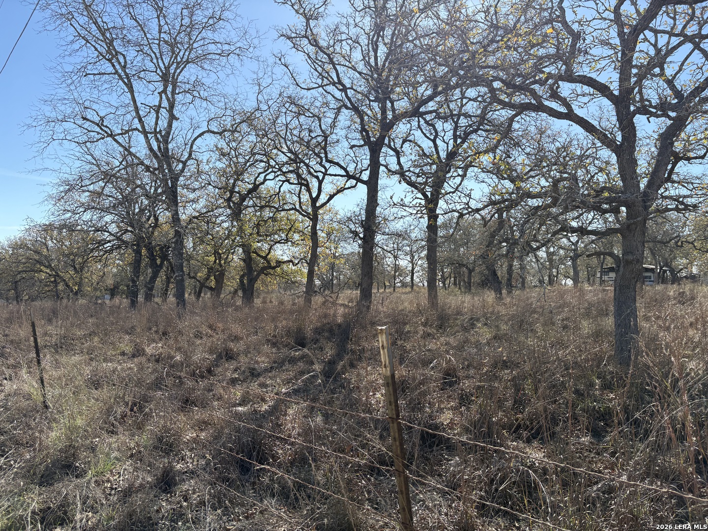 165 Littlehorn Lane La Vernia TX 78121
