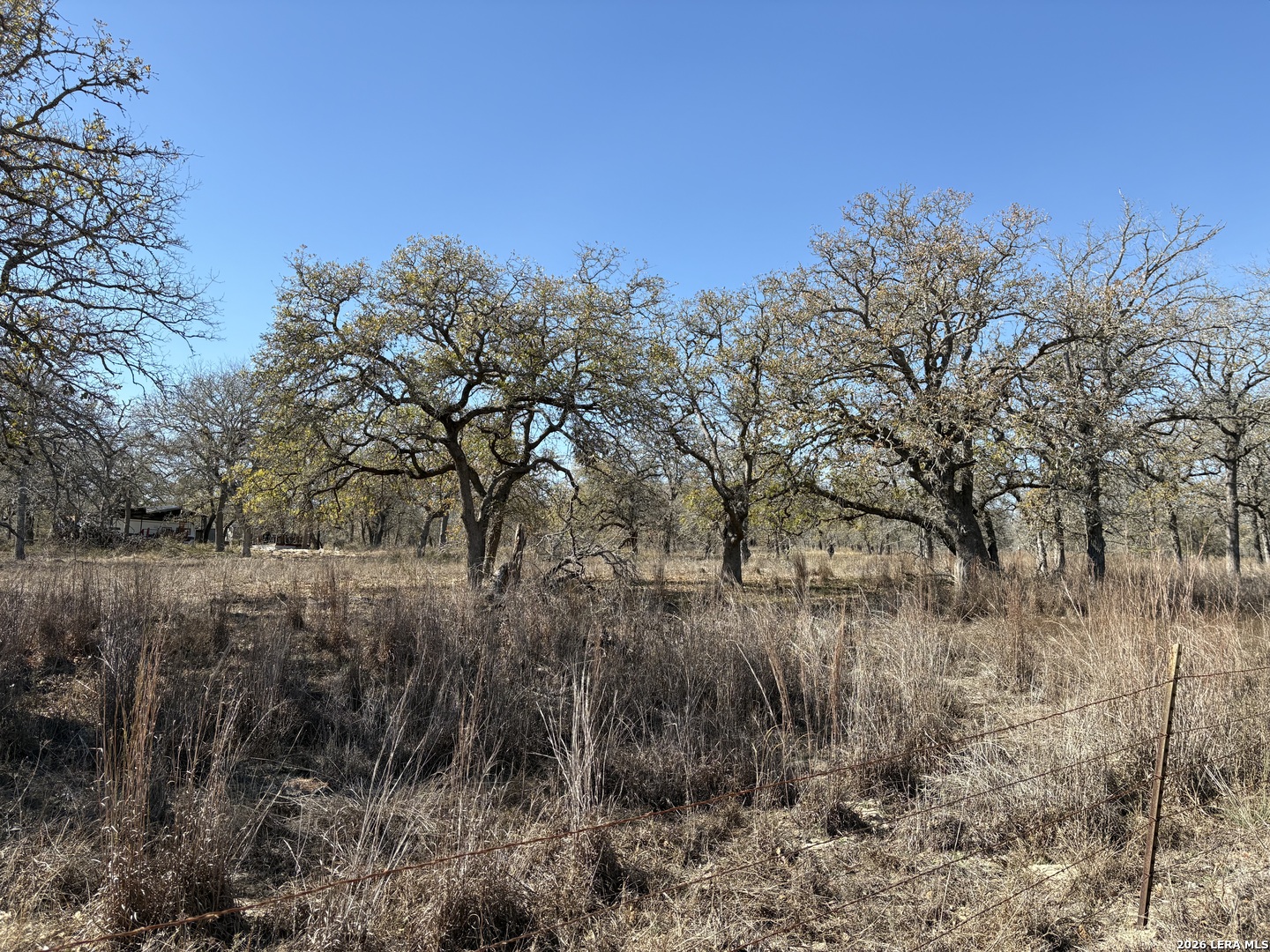 165 Littlehorn Lane La Vernia TX 78121