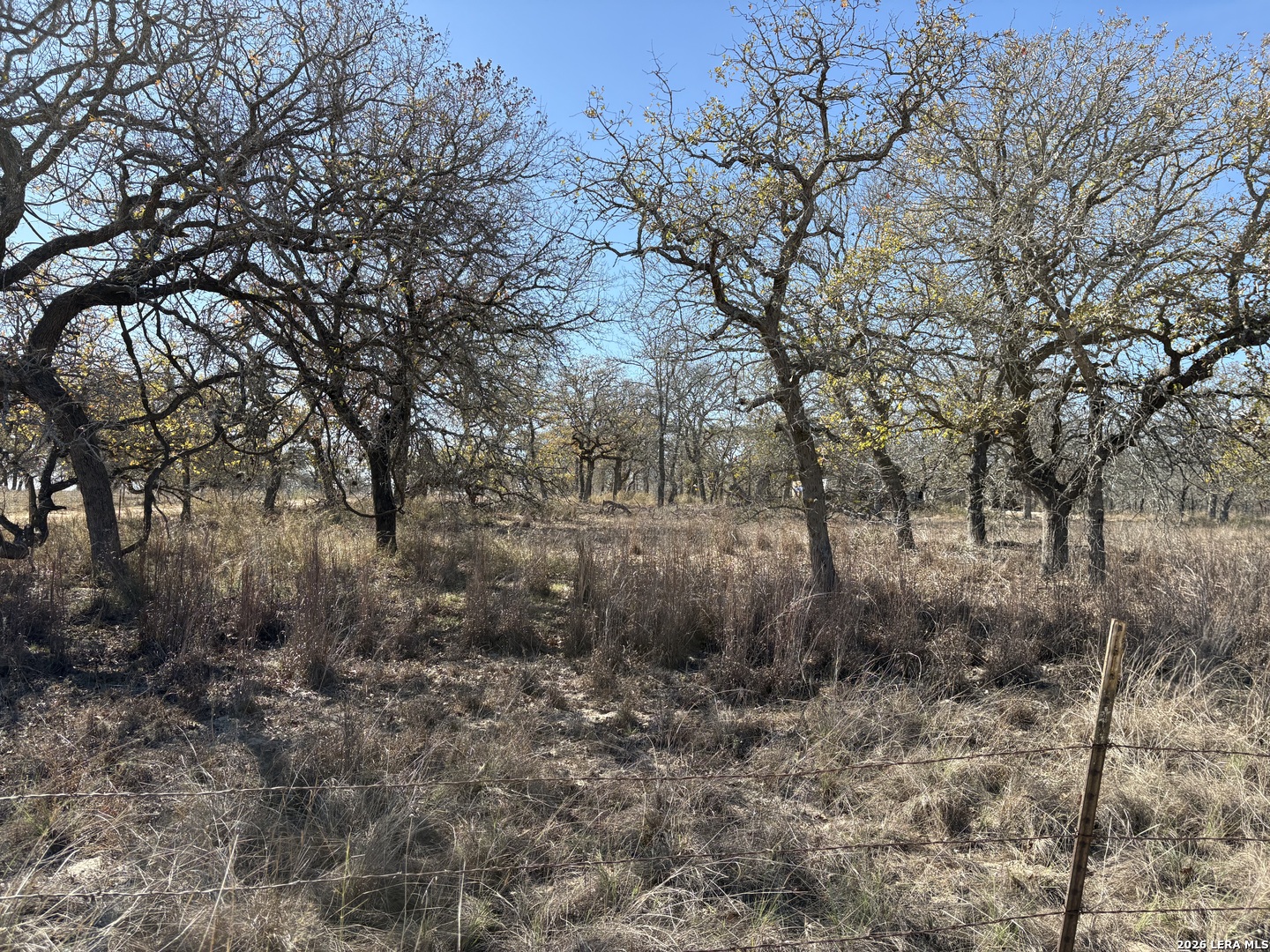 165 Littlehorn Lane La Vernia TX 78121