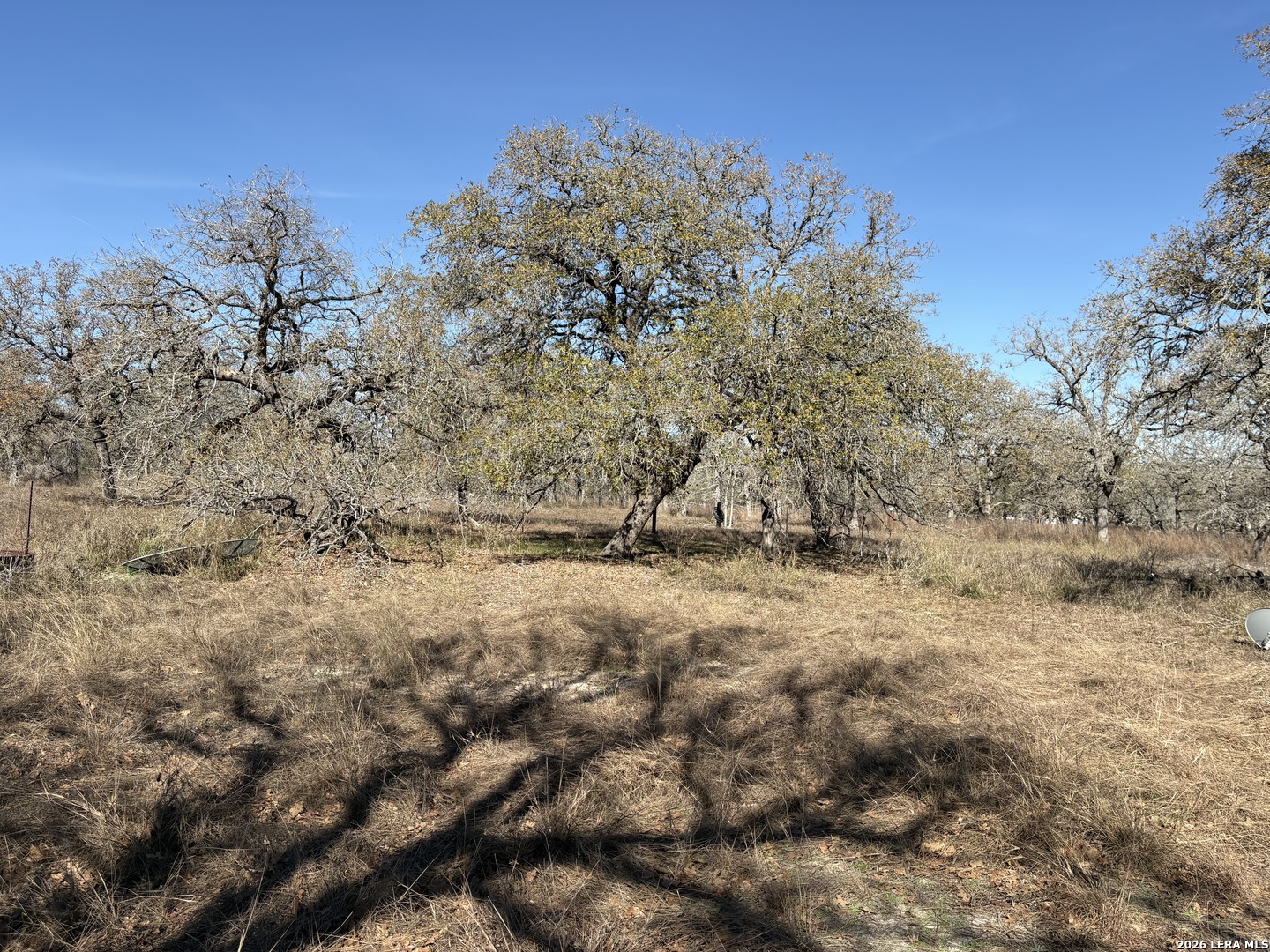 165 Littlehorn Lane La Vernia TX 78121