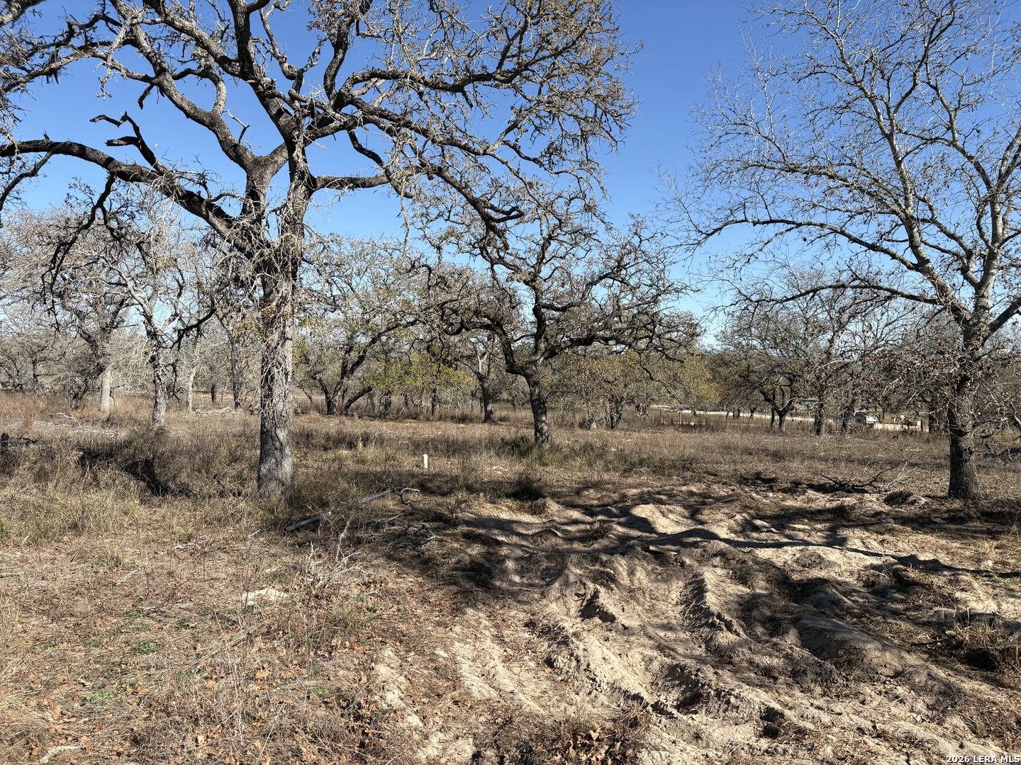 165 Littlehorn Lane La Vernia TX 78121